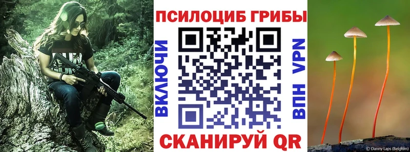 Галлюциногенные грибы мухоморы blacksprut tor Судогда